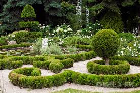 嵊州市政绿化树苗有哪几种